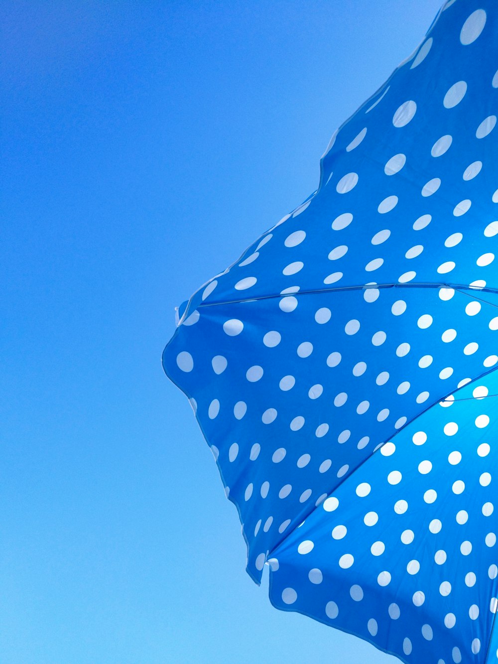 파란색과 흰색 물방울 무늬 우산