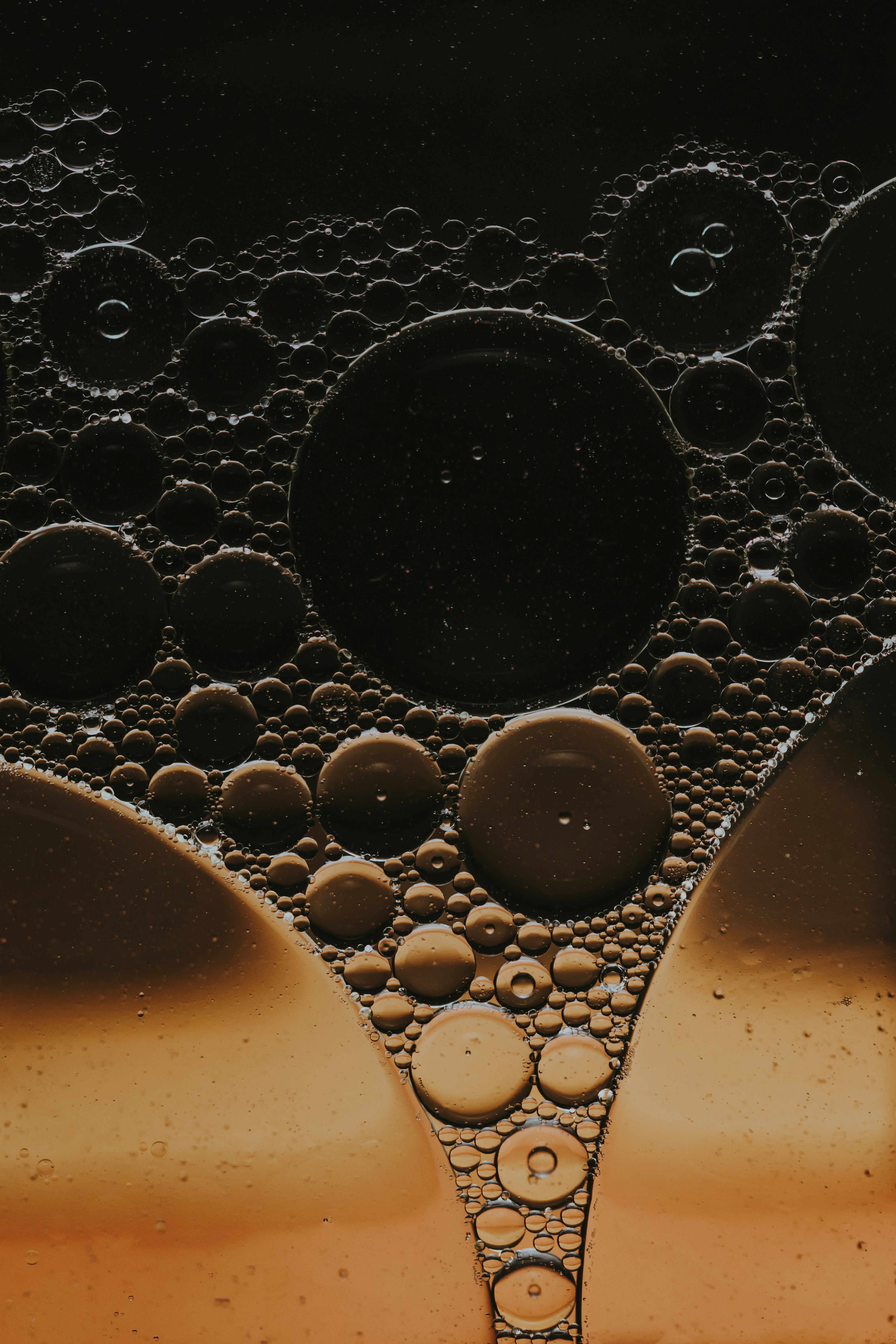 Rivers of Oil, Hearts of Stone