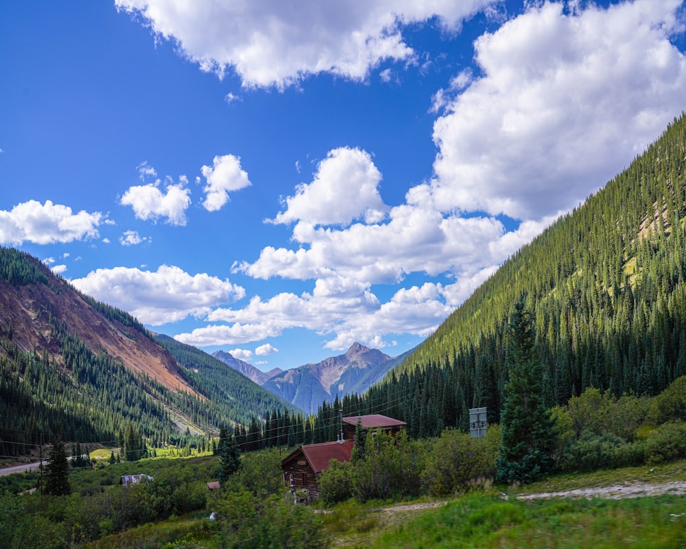 green pine trees near mountain under blue sky during daytime