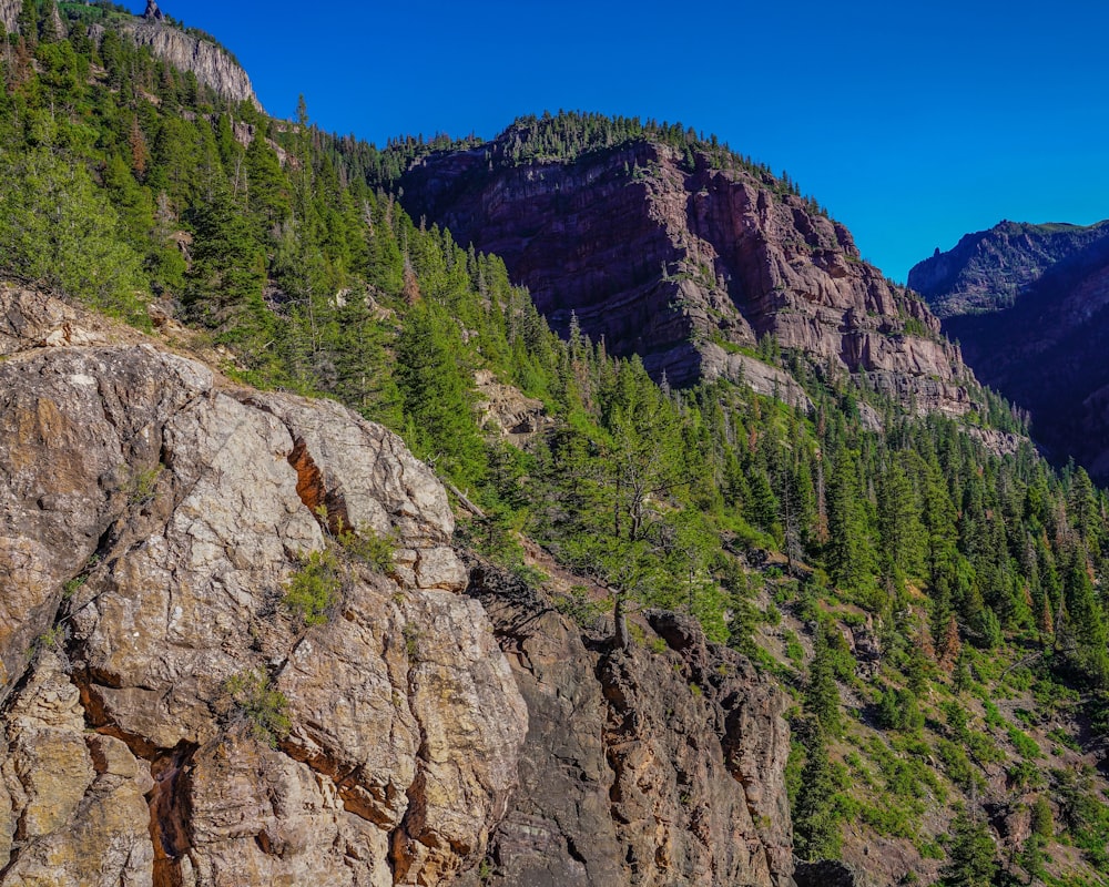 green trees on rocky mountain under blue sky during daytime