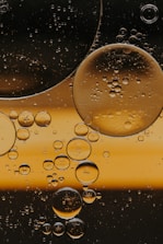 water droplets on glass window