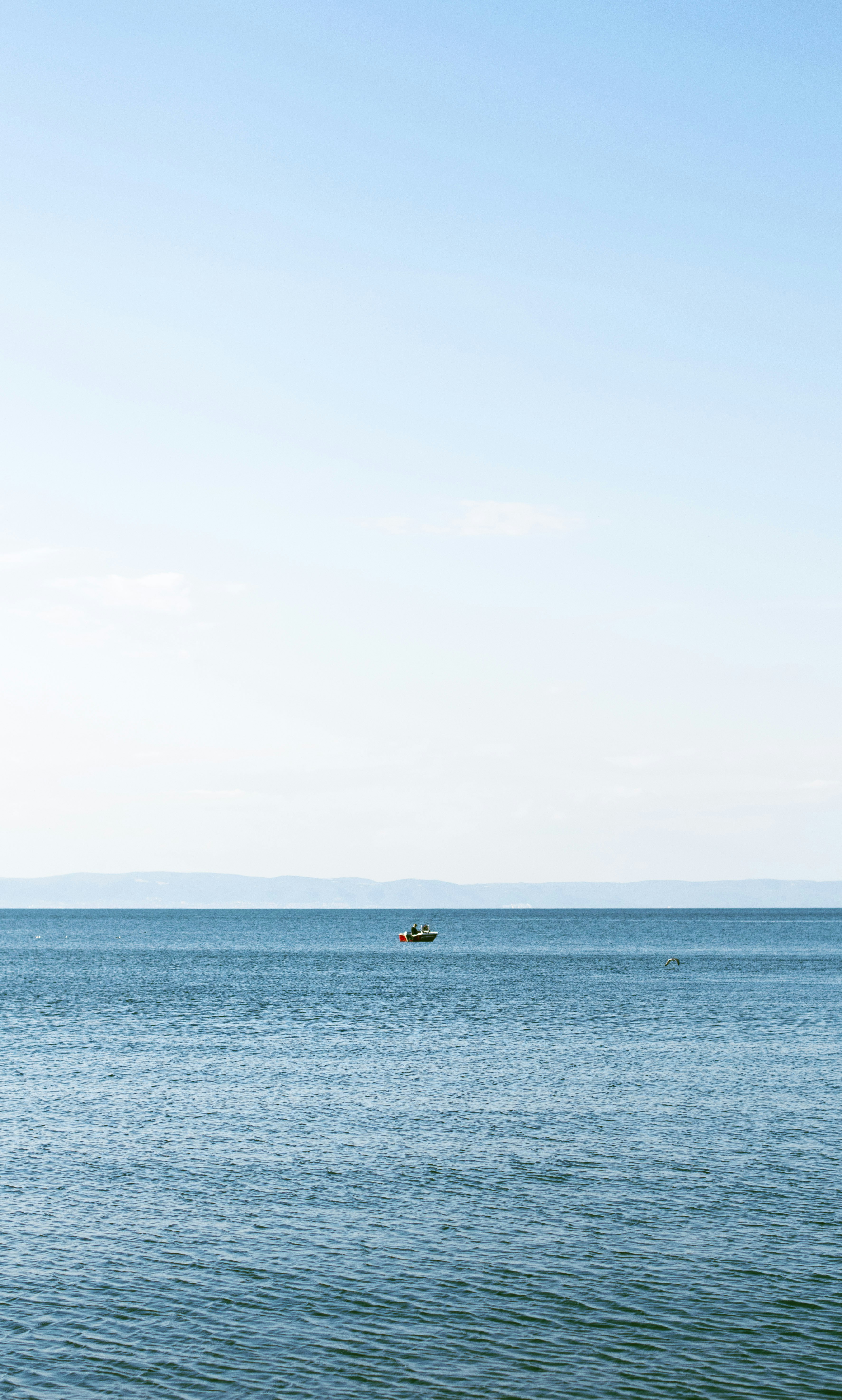 Photo by danielabeleva