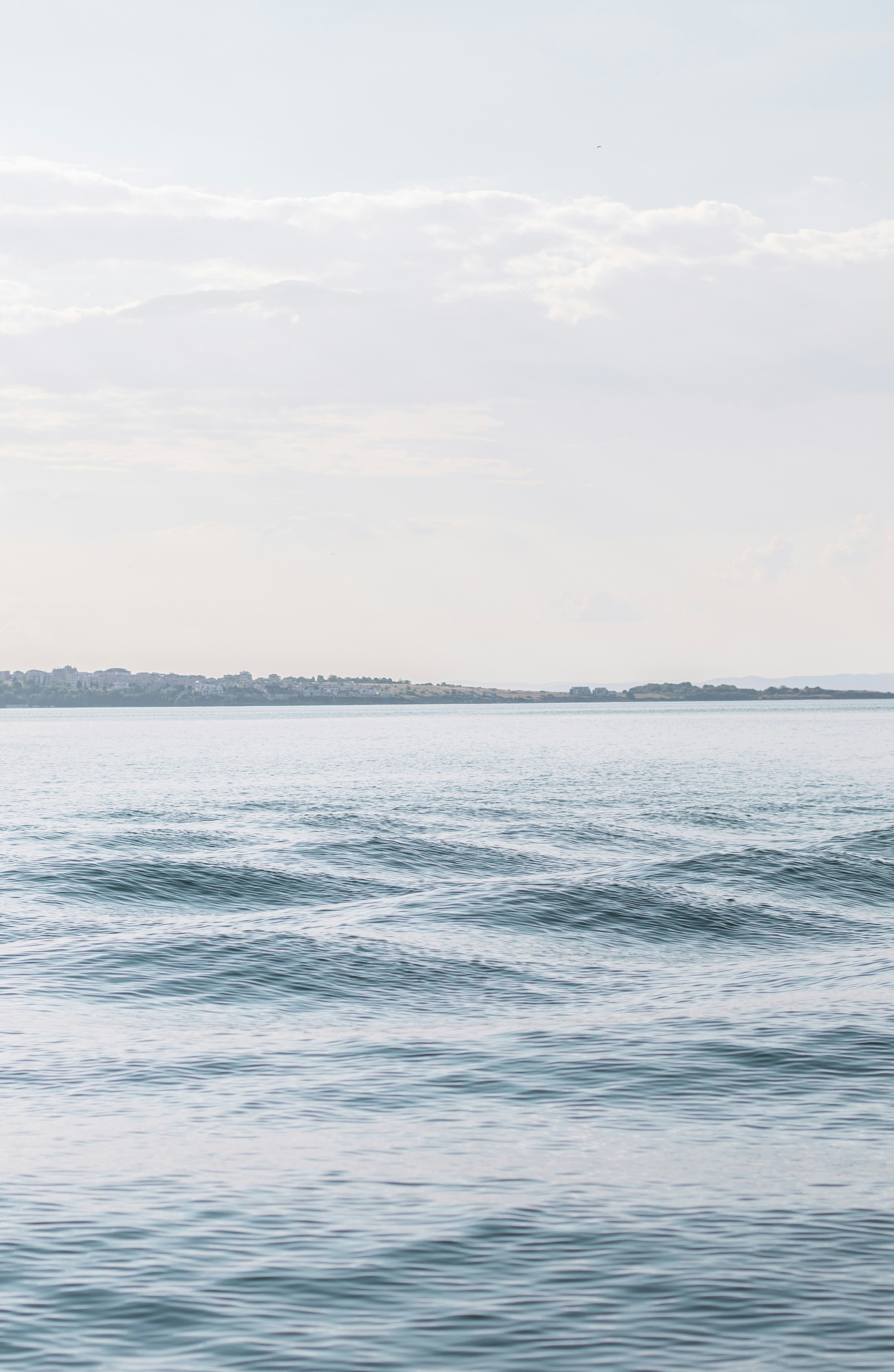 Photo by danielabeleva