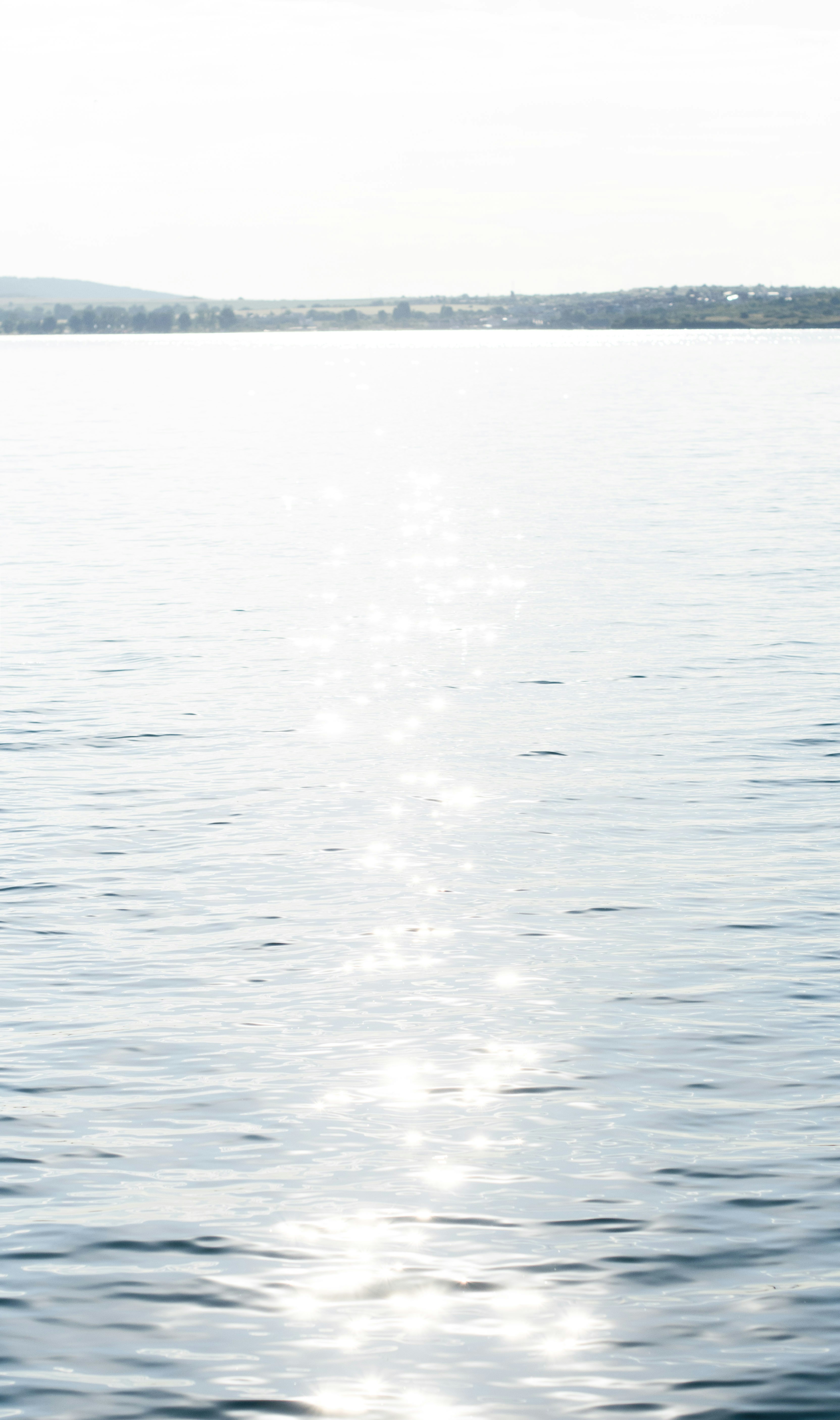 Photo by danielabeleva