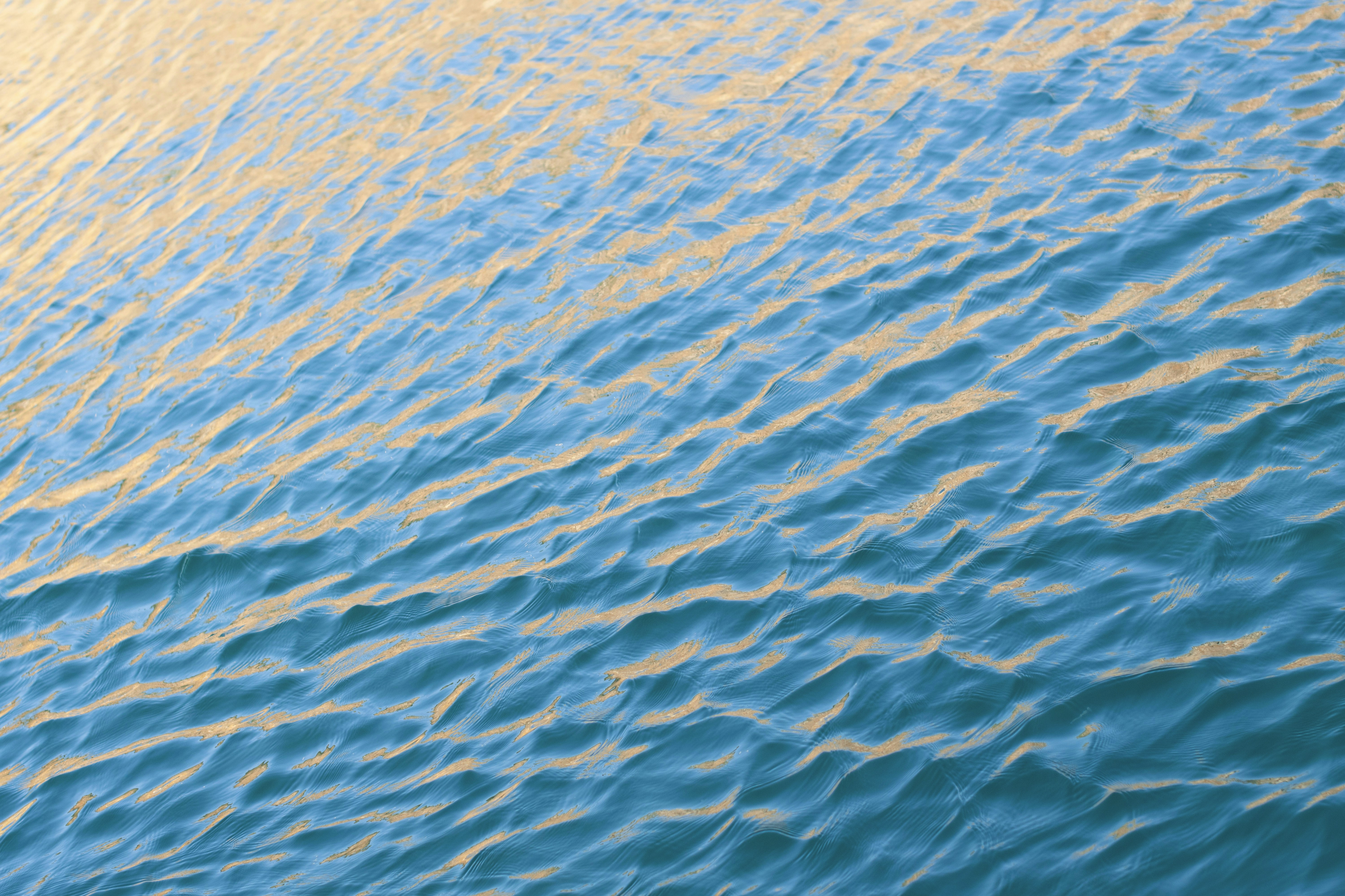 Photo by danielabeleva