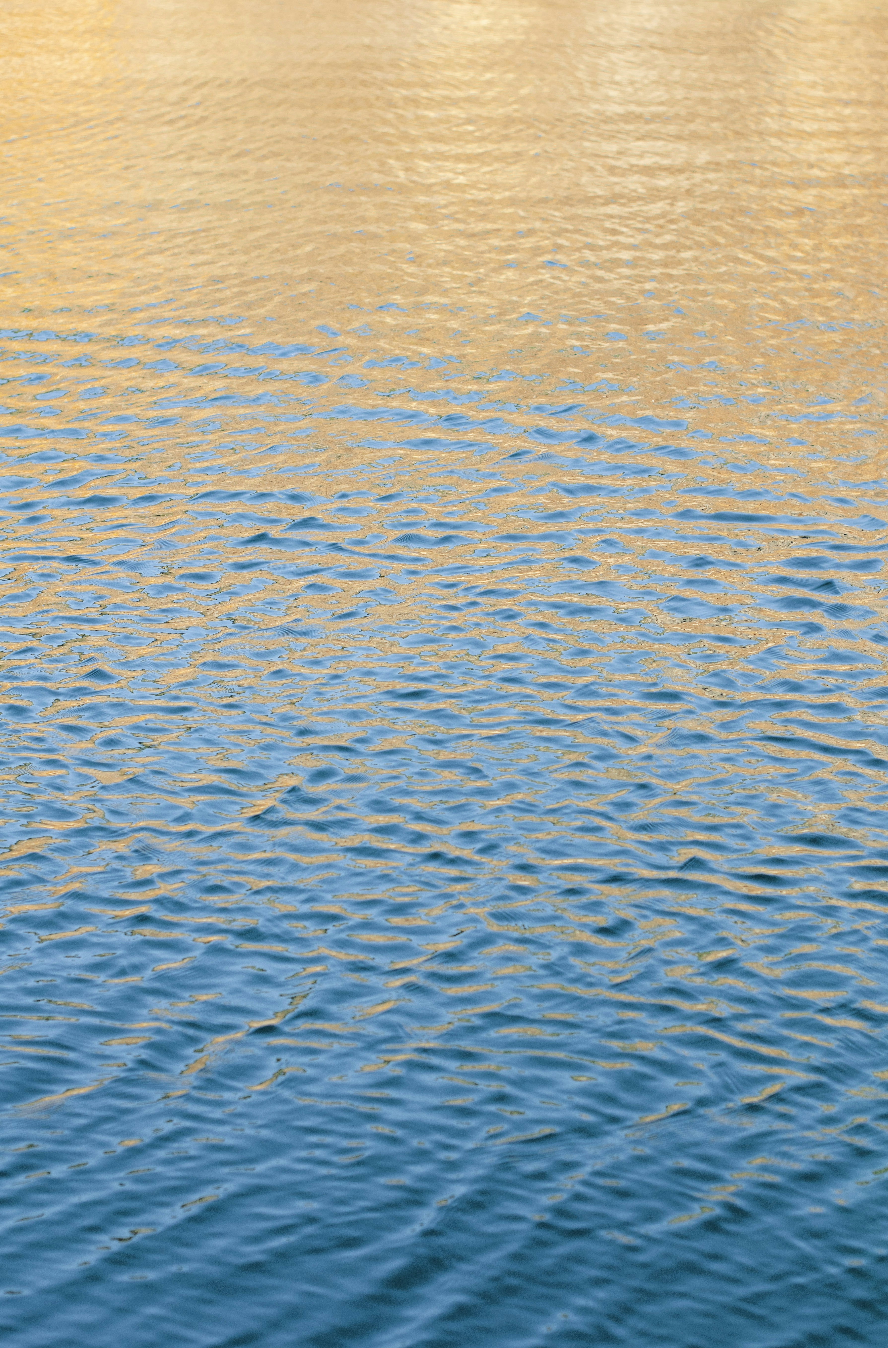 Photo by danielabeleva