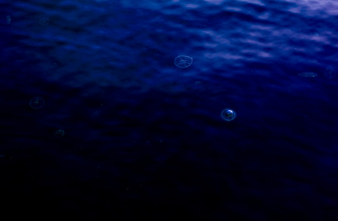 water droplets on blue surface