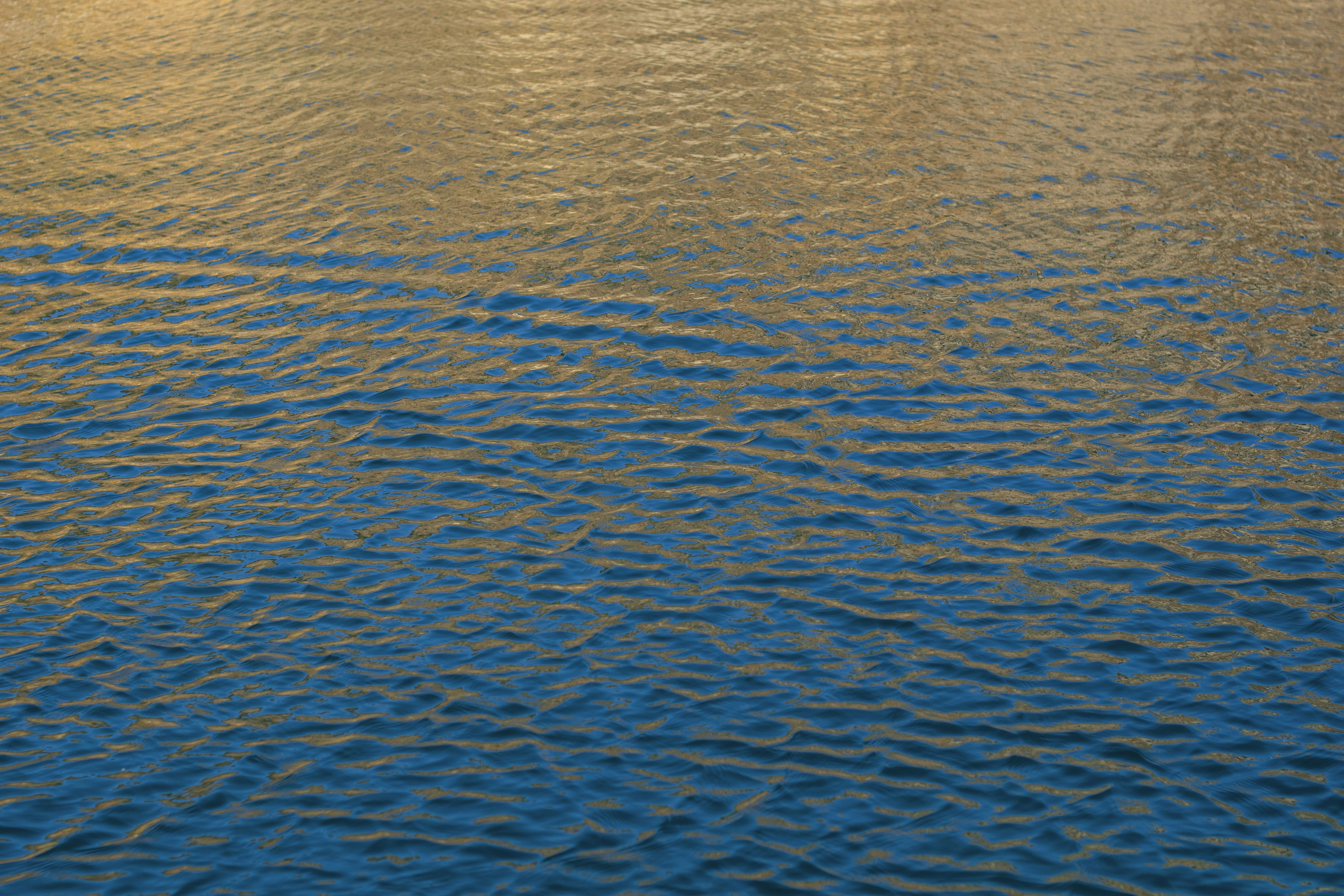 Photo by danielabeleva