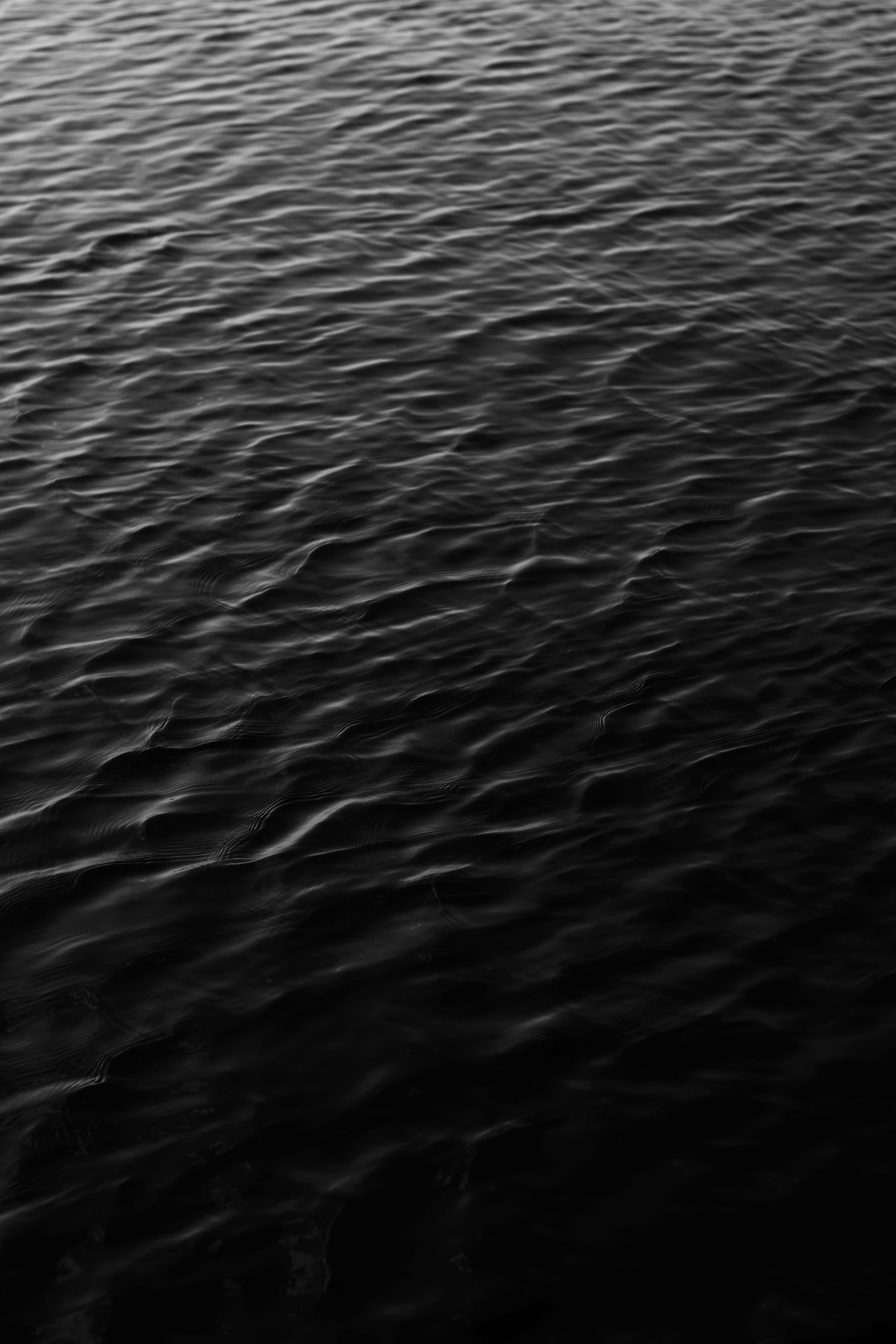 Photo by danielabeleva