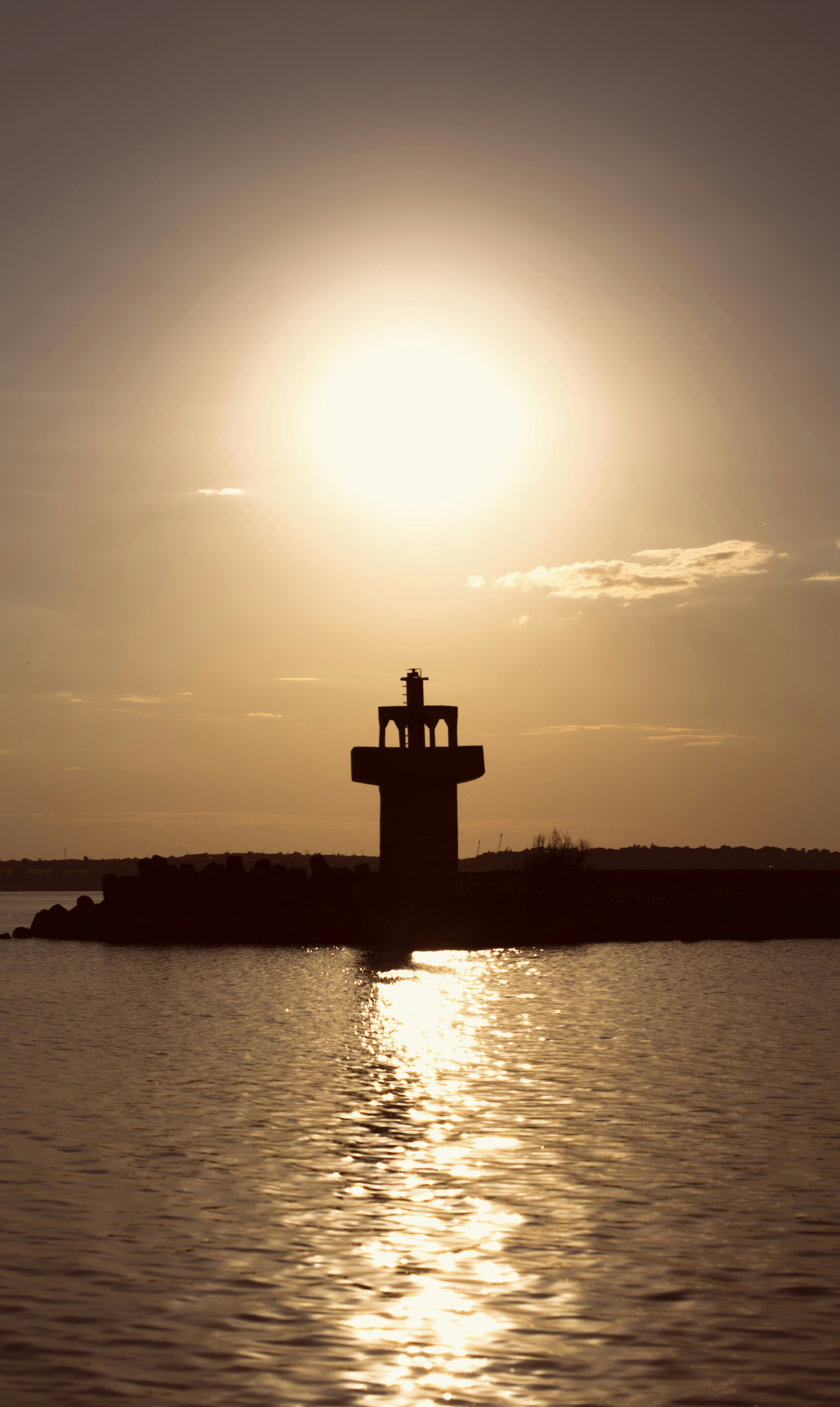 Photo by danielabeleva