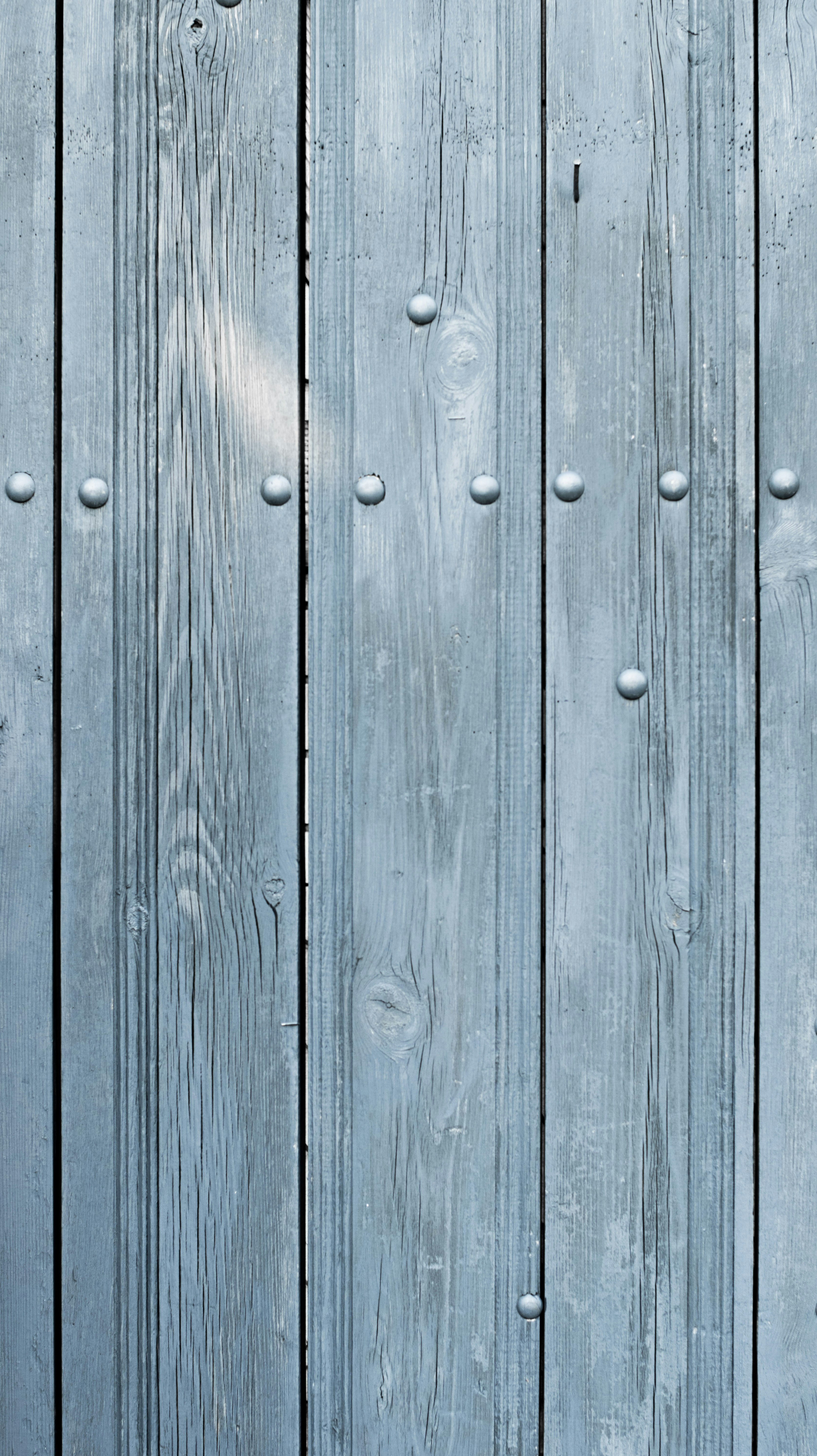 Photo by danielabeleva