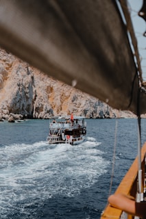 A boat sailing near a group of whales in clear blue ocean waters