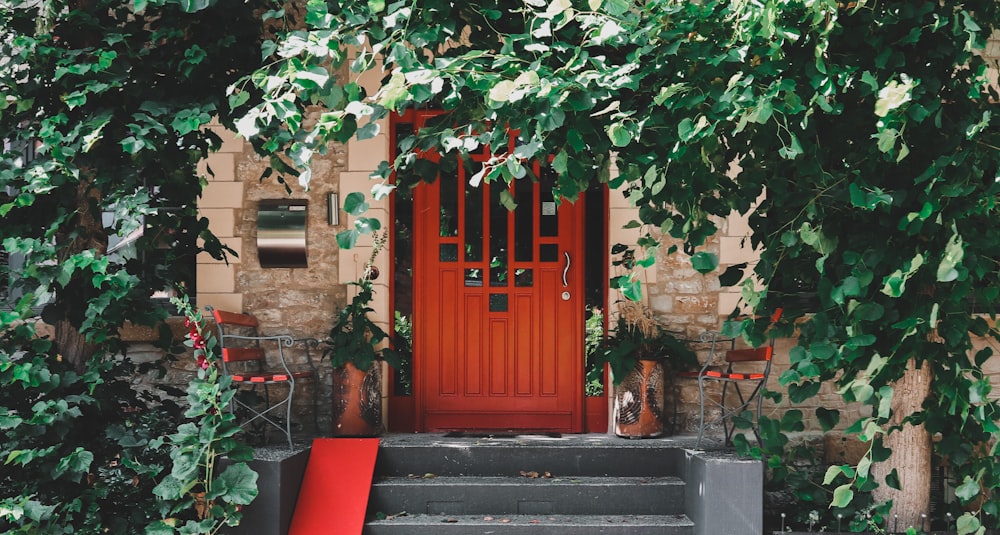 red wooden door with green leaves