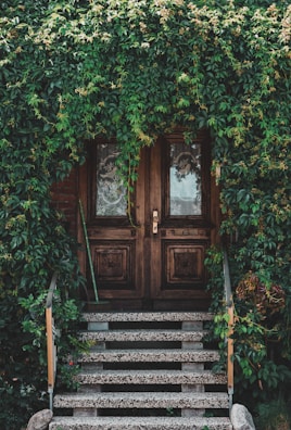 brown wooden door with green vines