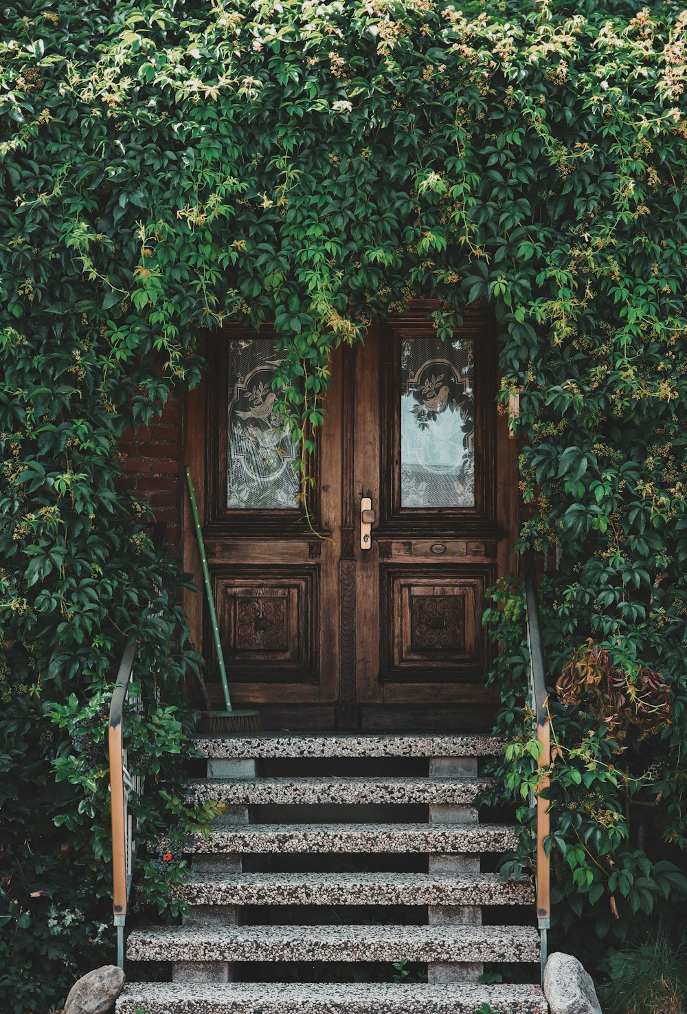 brown wooden door with green vines