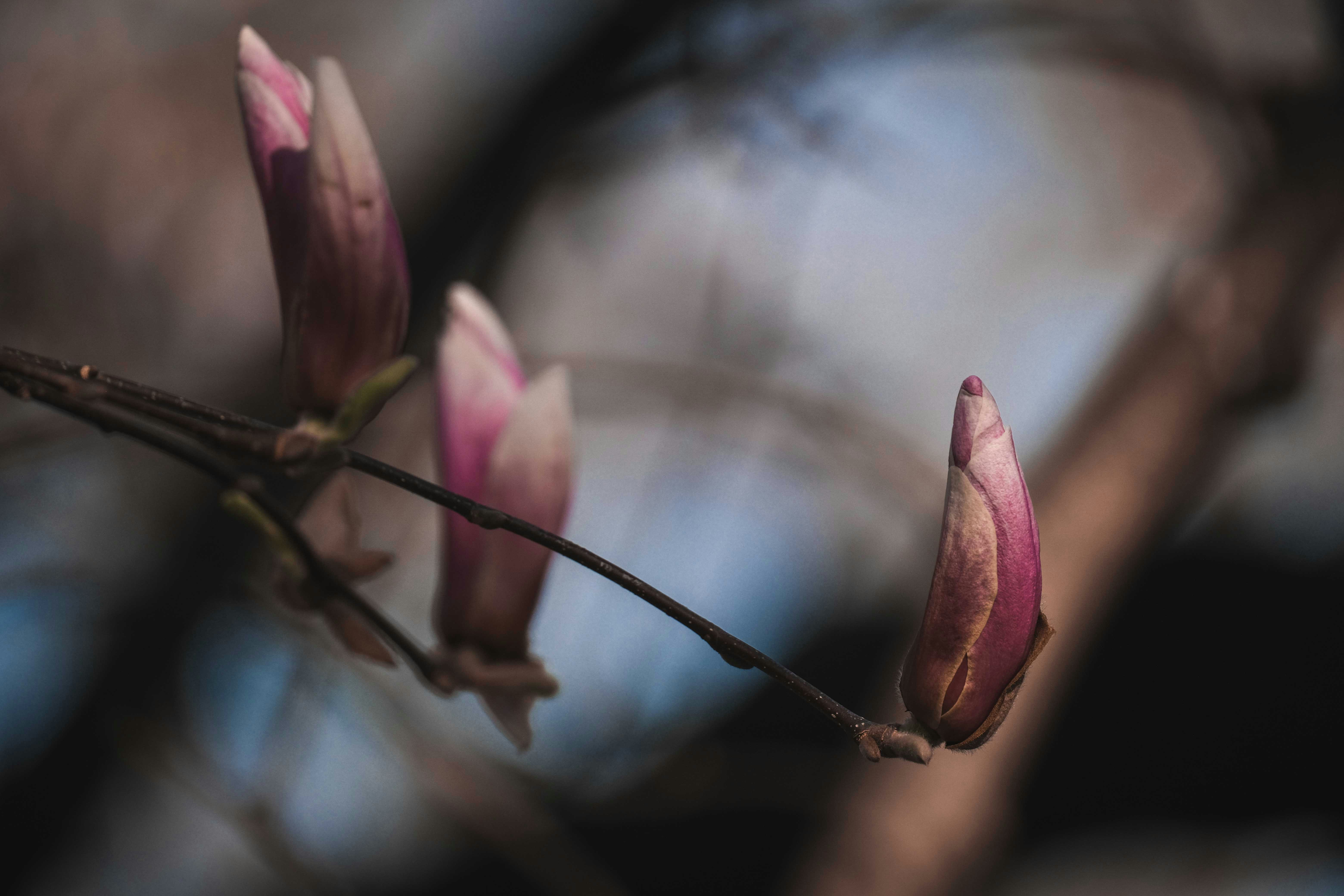 Photo by francesco_ungaro