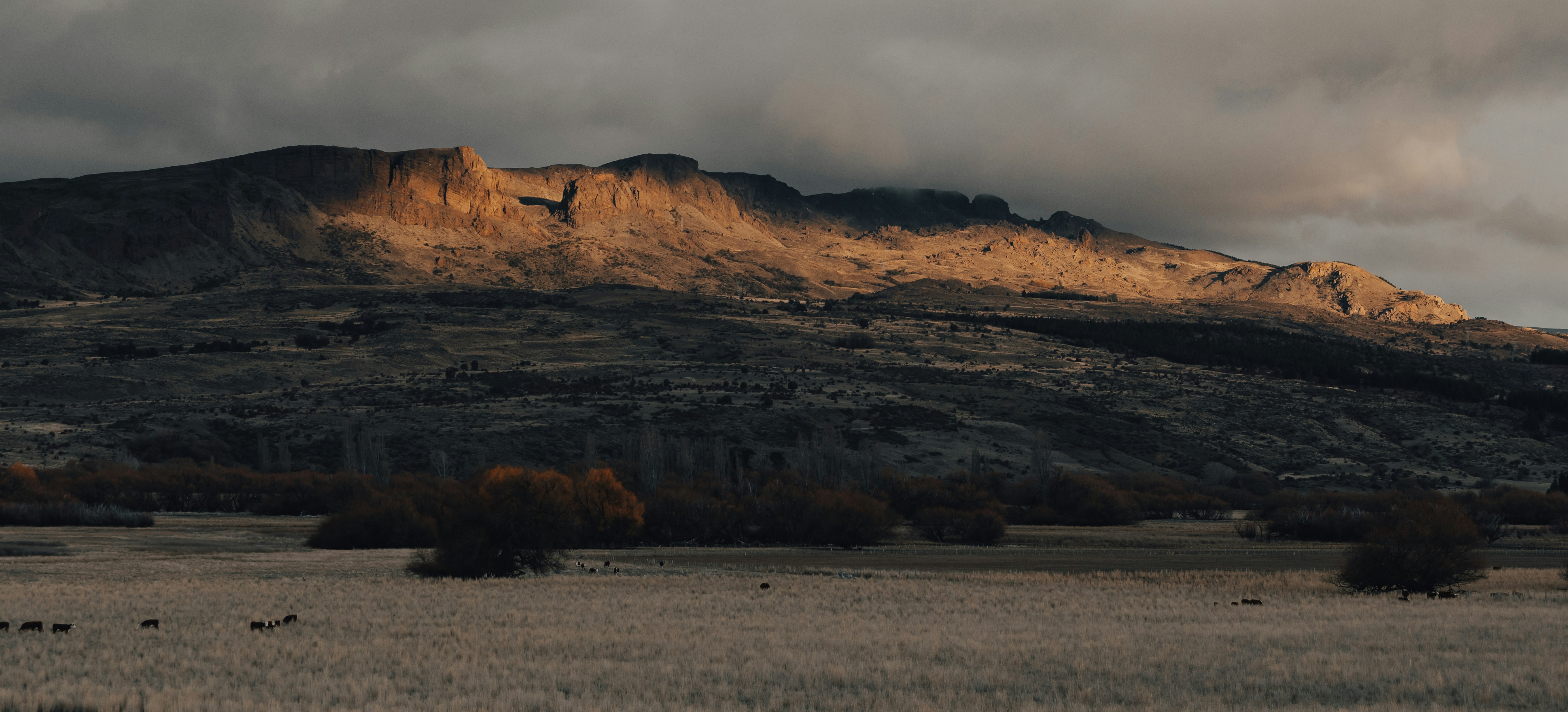 Photo by gasparzaldo