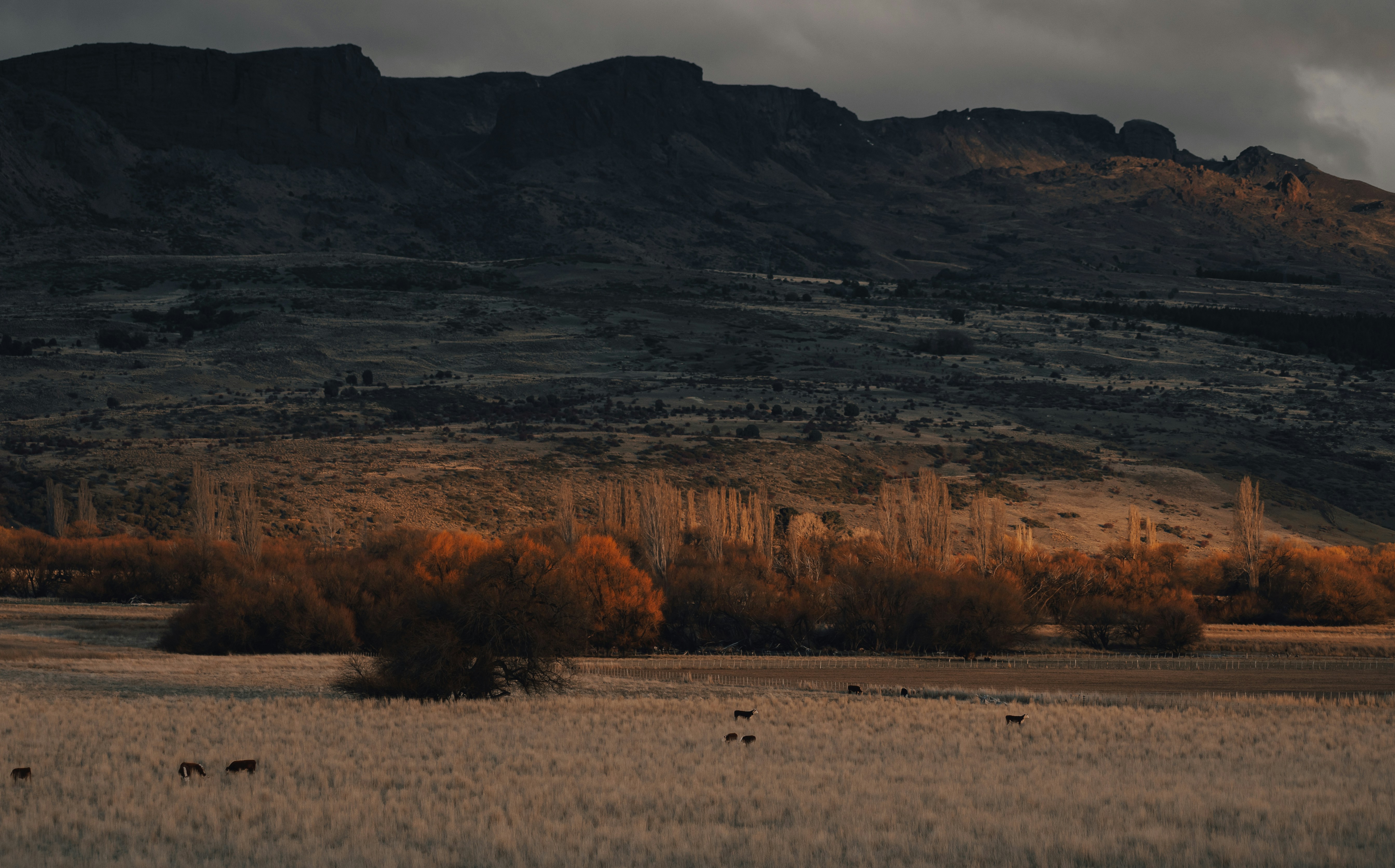 Photo by gasparzaldo