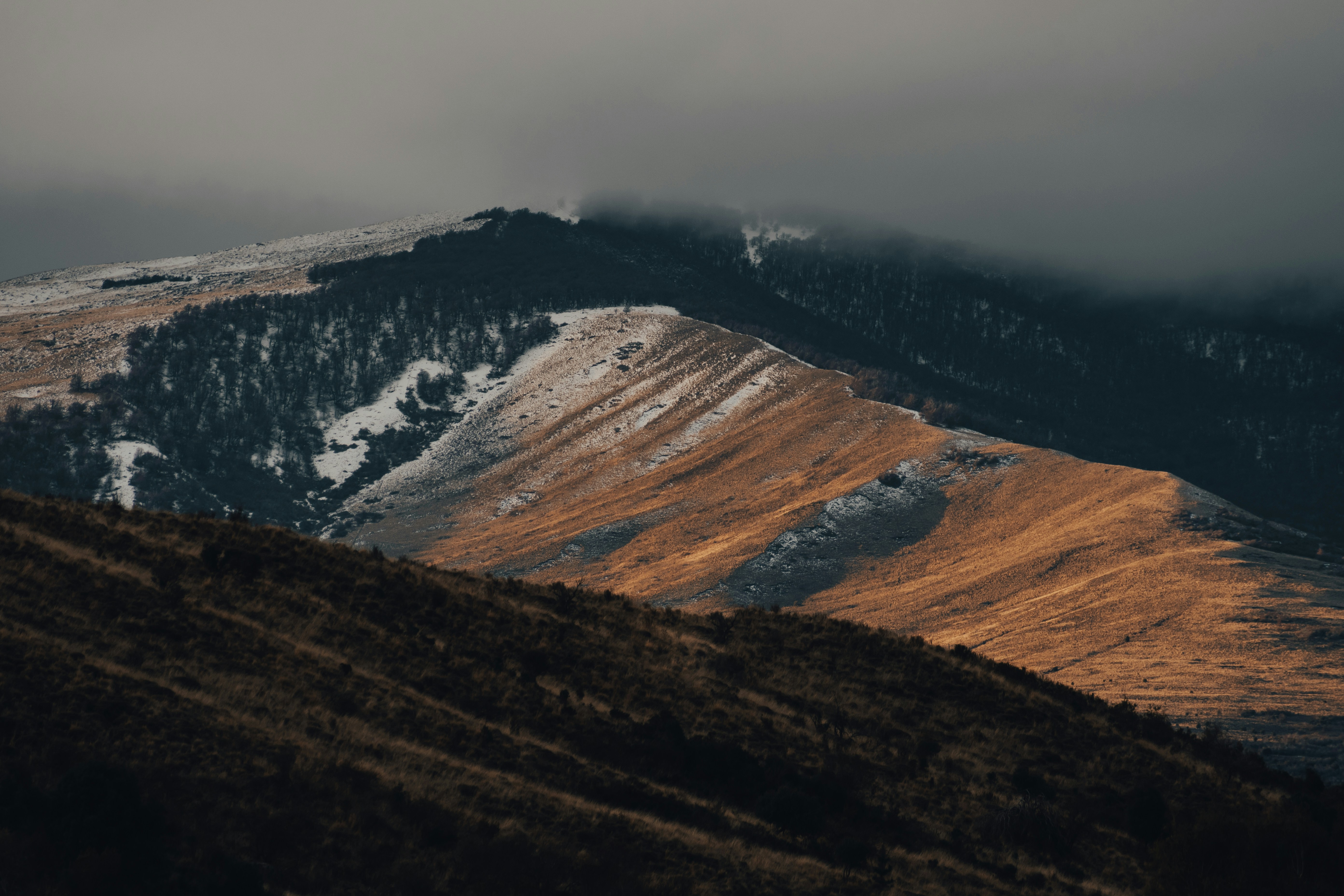 Photo by gasparzaldo