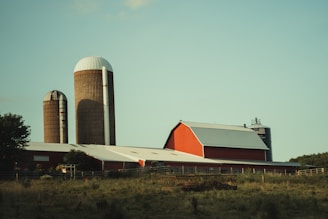 red and white building near green trees during daytime