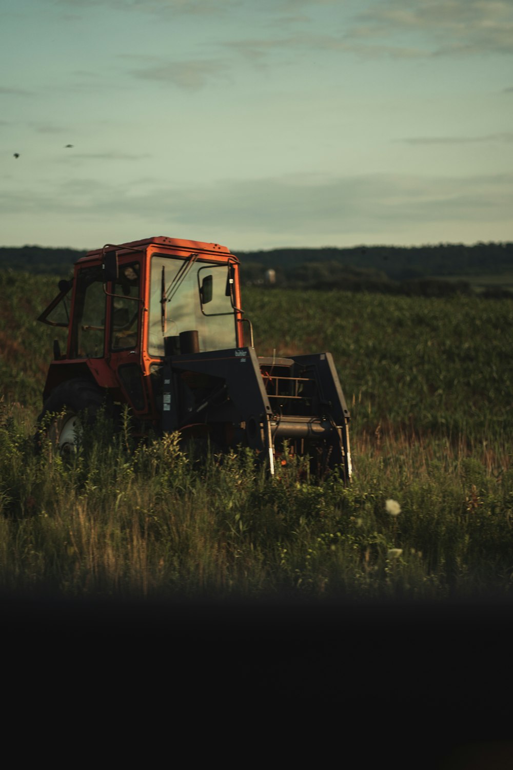 red and black tractor on green grass field during daytime