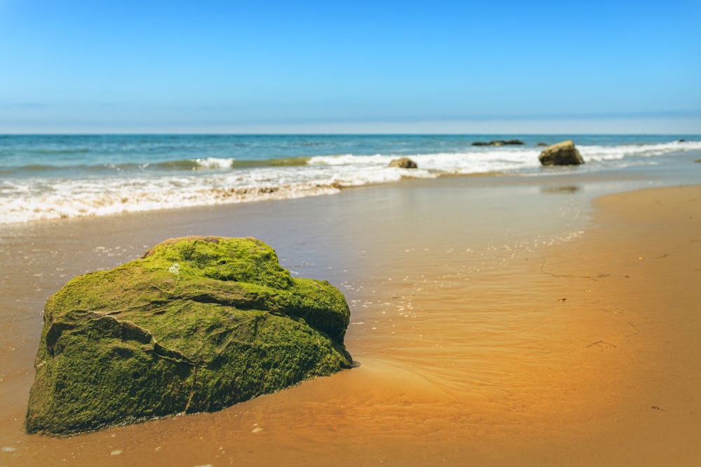 green and brown rock formation on seashore during daytime