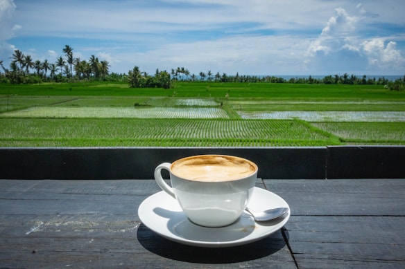 A cup of cappuccino sits on a saucer with a spoon on a dark wooden surface. Behind the coffee, there is a vast, lush green rice field with rows of rice plants. The field is bordered by tall palm trees and other vegetation, with a bright blue sky and a few scattered clouds in the background.