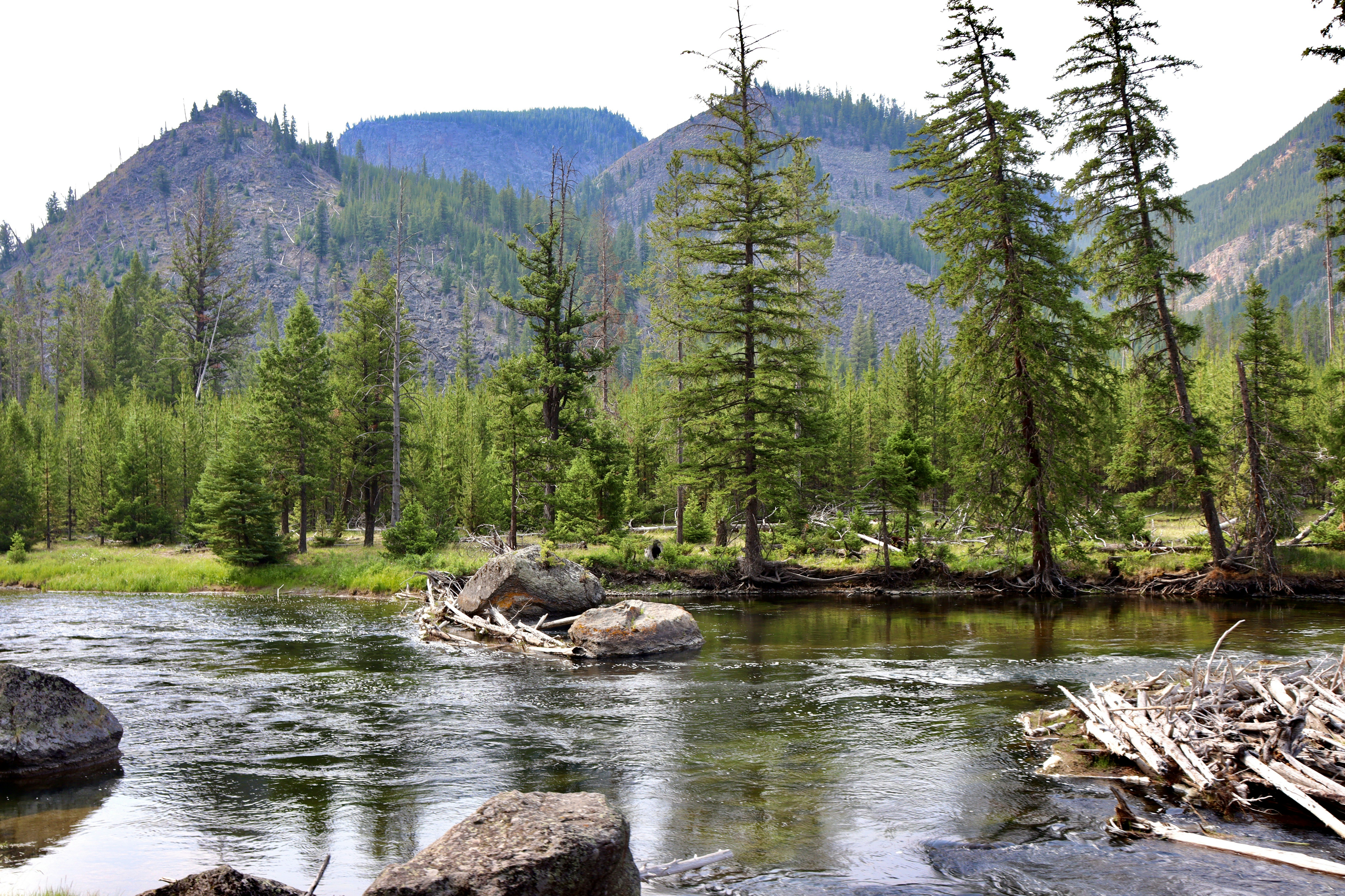 Photo by _bad_llama_