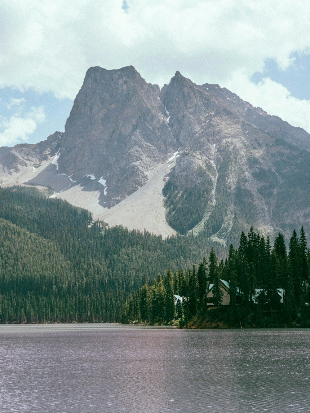 green trees near mountain during daytime