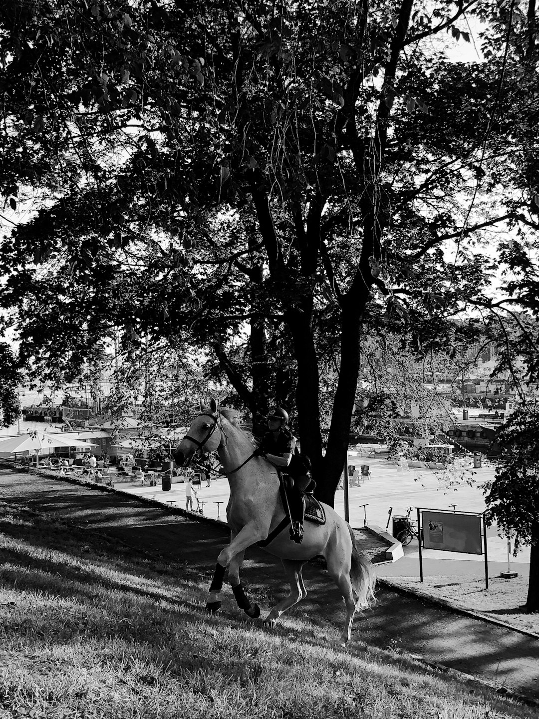 grayscale photo of man riding horse on road