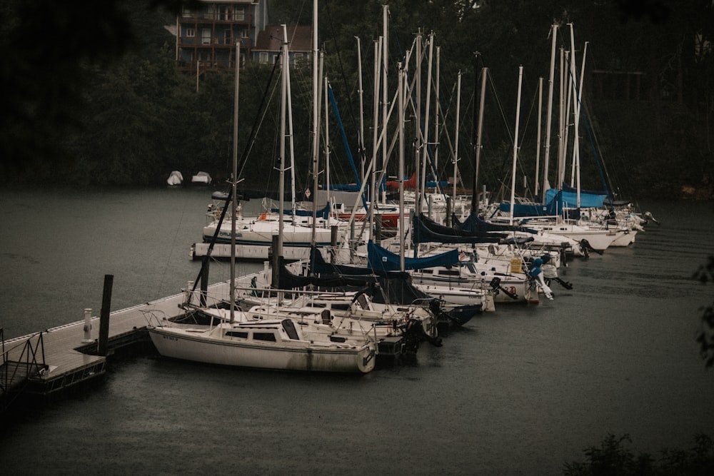 white boats on body of water during daytime