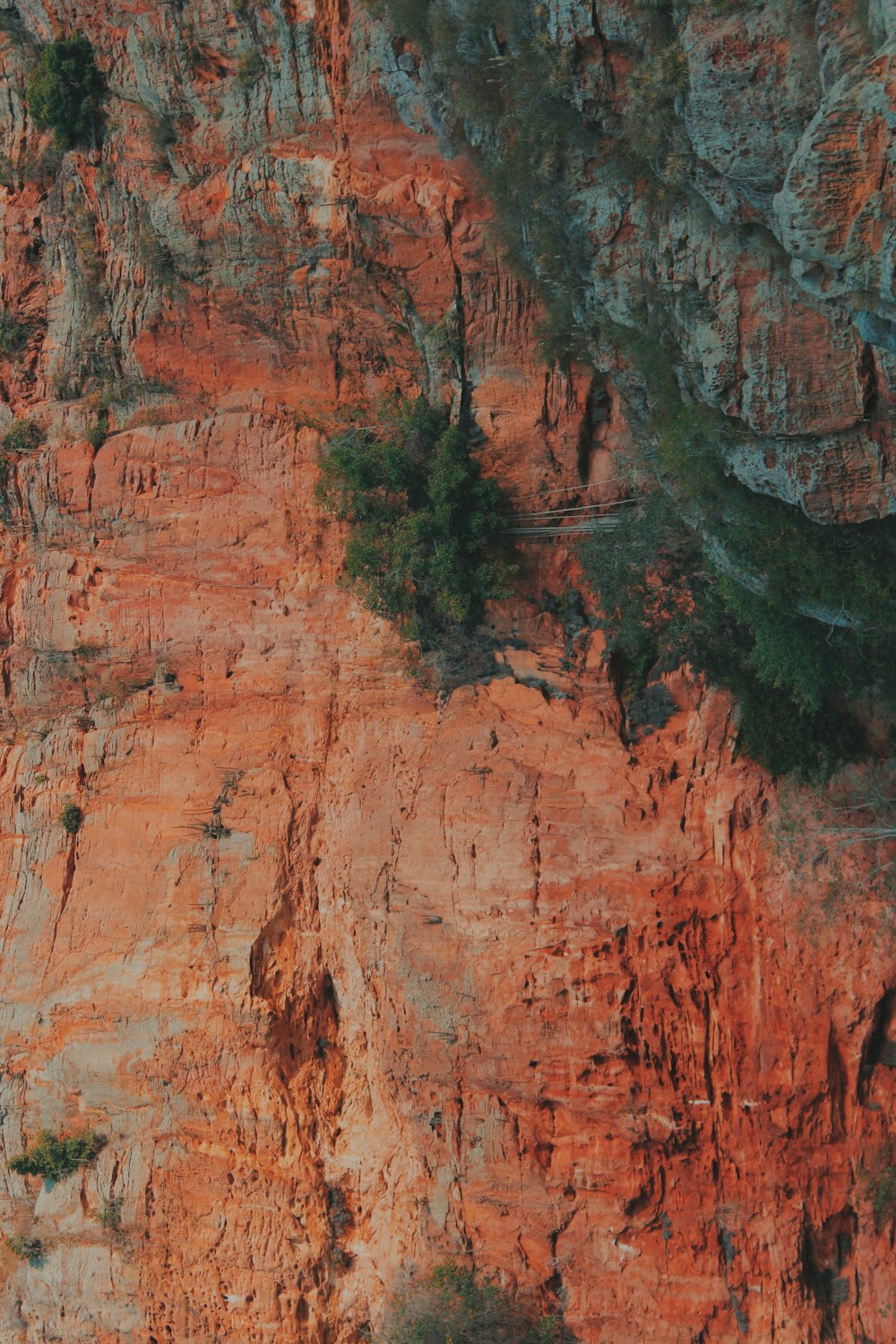 brown rock formation with green trees