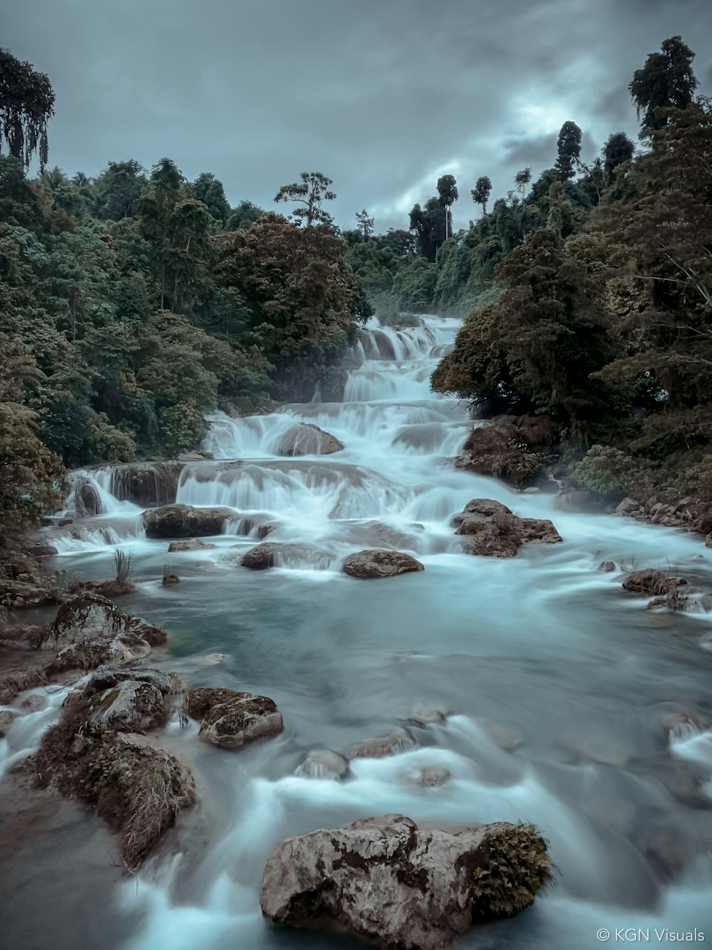 river in the middle of green trees during daytime