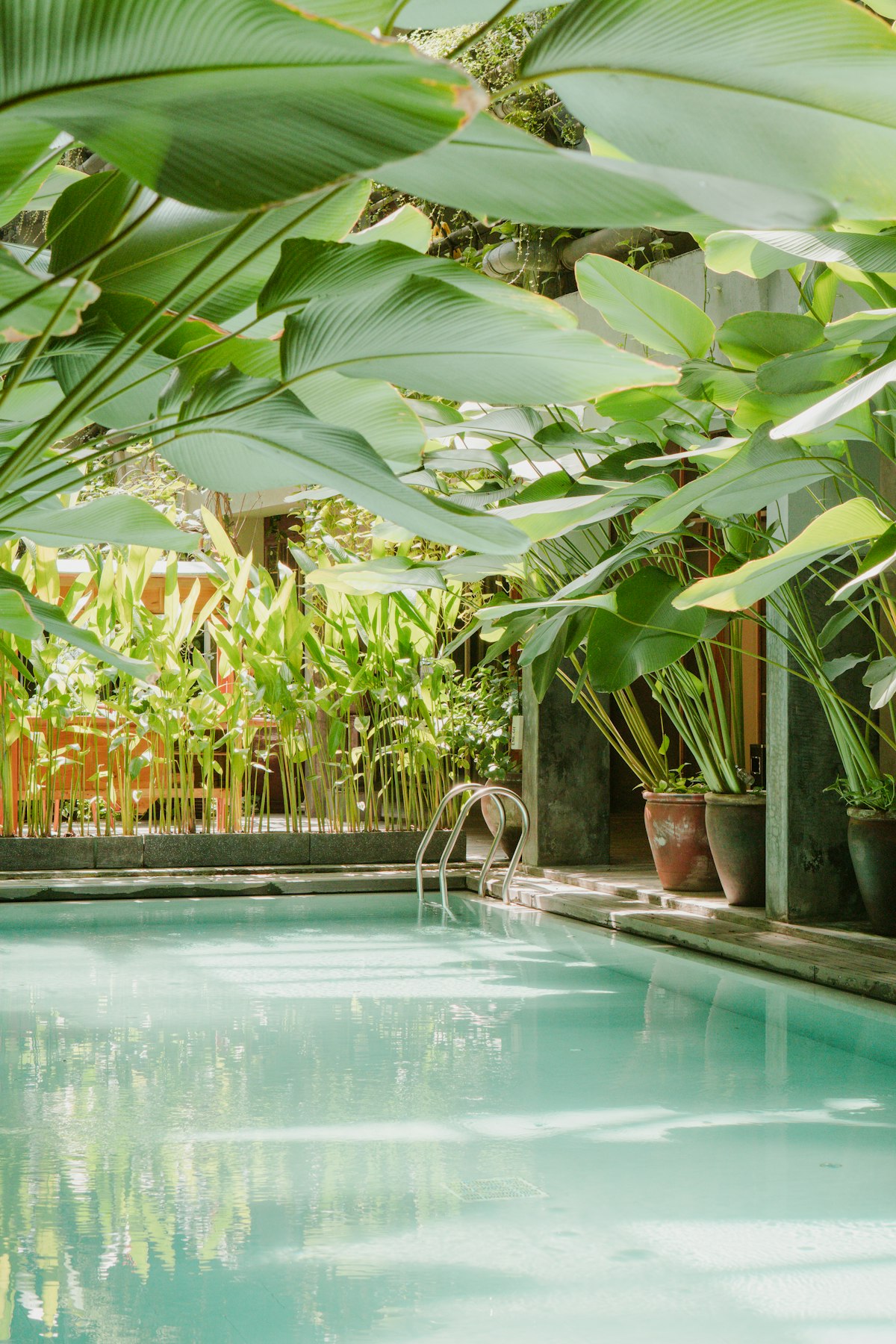 Piscina Naturalizada: Como Projetar uma Piscina Biológica de Alto Padrão