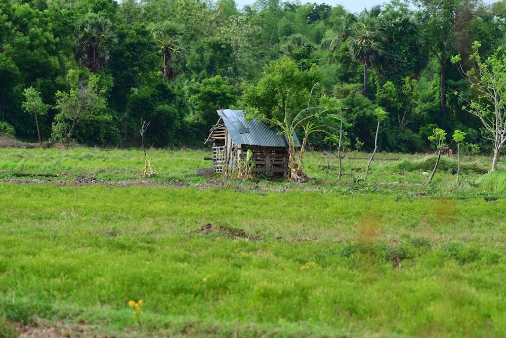 Casa de madera marrón en campo de hierba verde durante el día