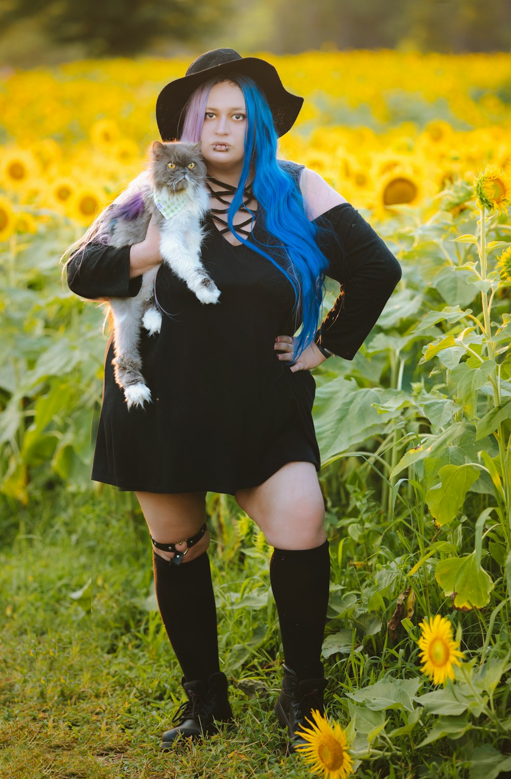 Una donna con i capelli blu tiene in braccio un gatto in un campo di girasoli