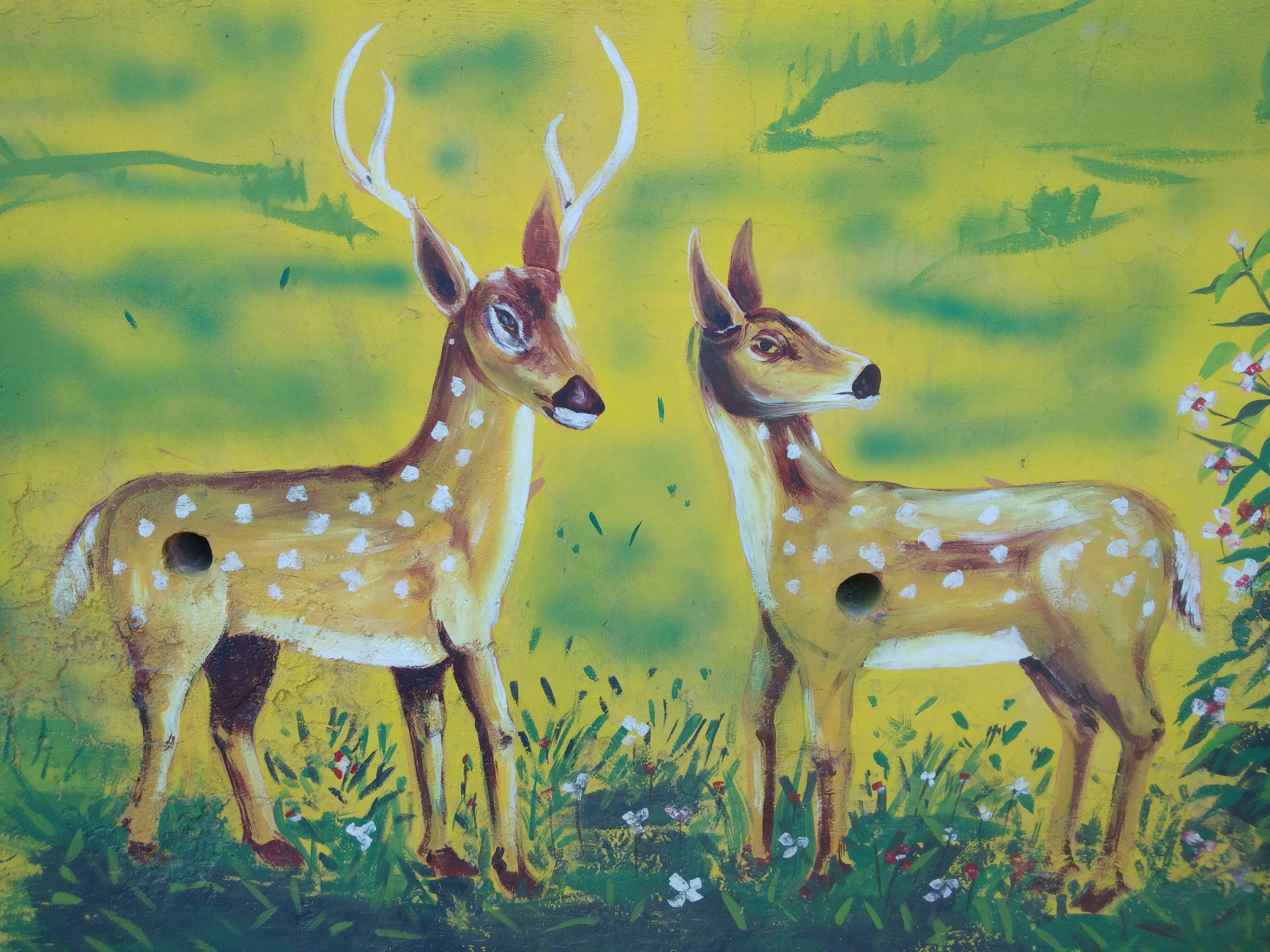 brown deer on green grass painting