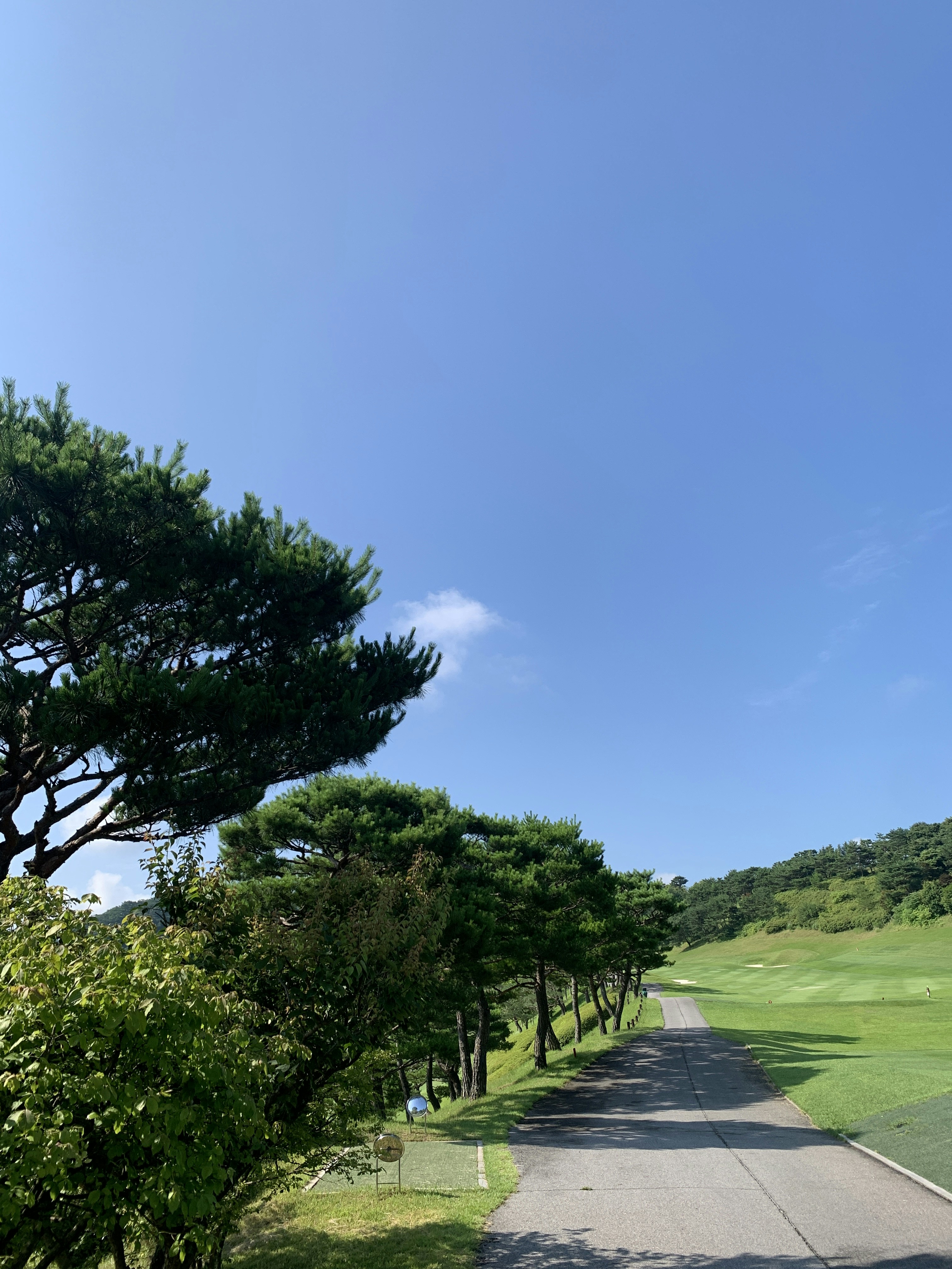 Explore Our Exciting Tours