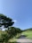 A scenic view of a lush green landscape with a winding path, symbolizing sustainable travel.