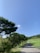 A scenic view of a lush green landscape with a winding path, symbolizing sustainable travel.