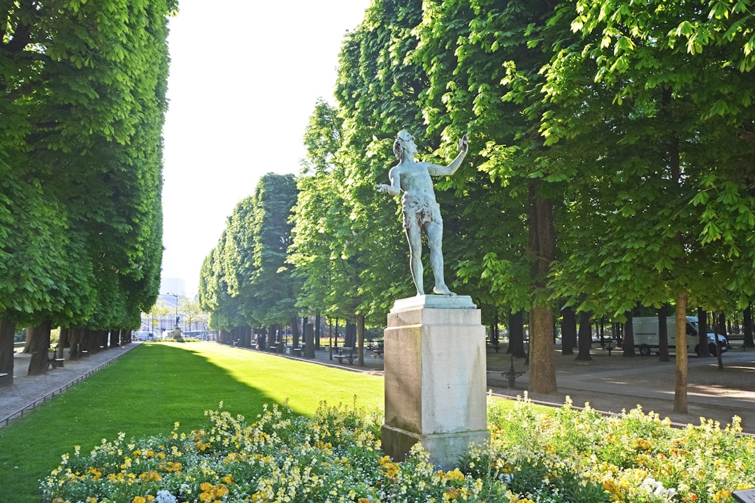 man statue on green grass field during daytime