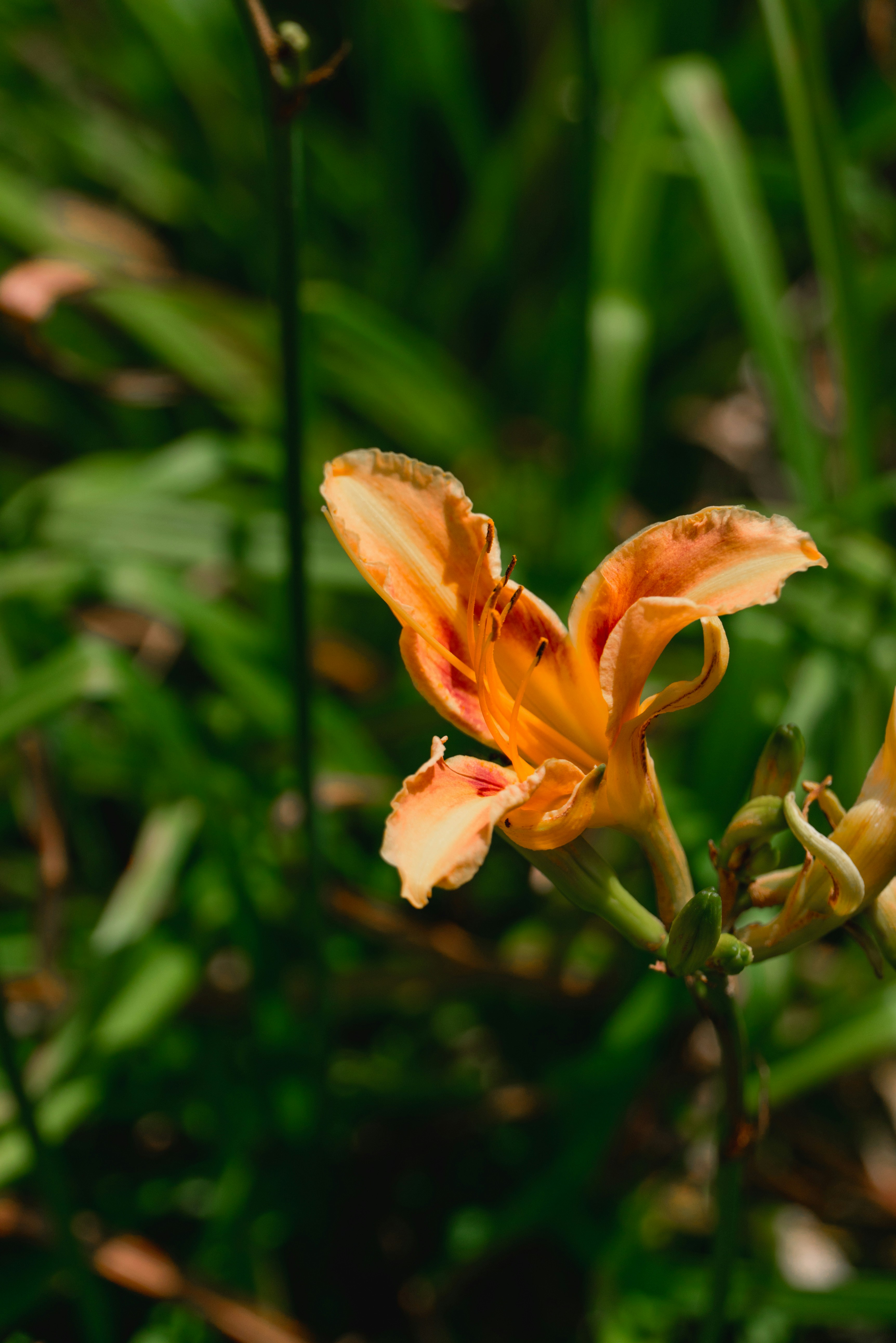 Photo by benjaminzhao