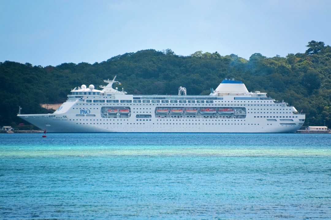 white cruise ship on sea during daytime