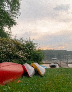 A peaceful lake scene with kayaks floating near a small island dotted with wildflowers.