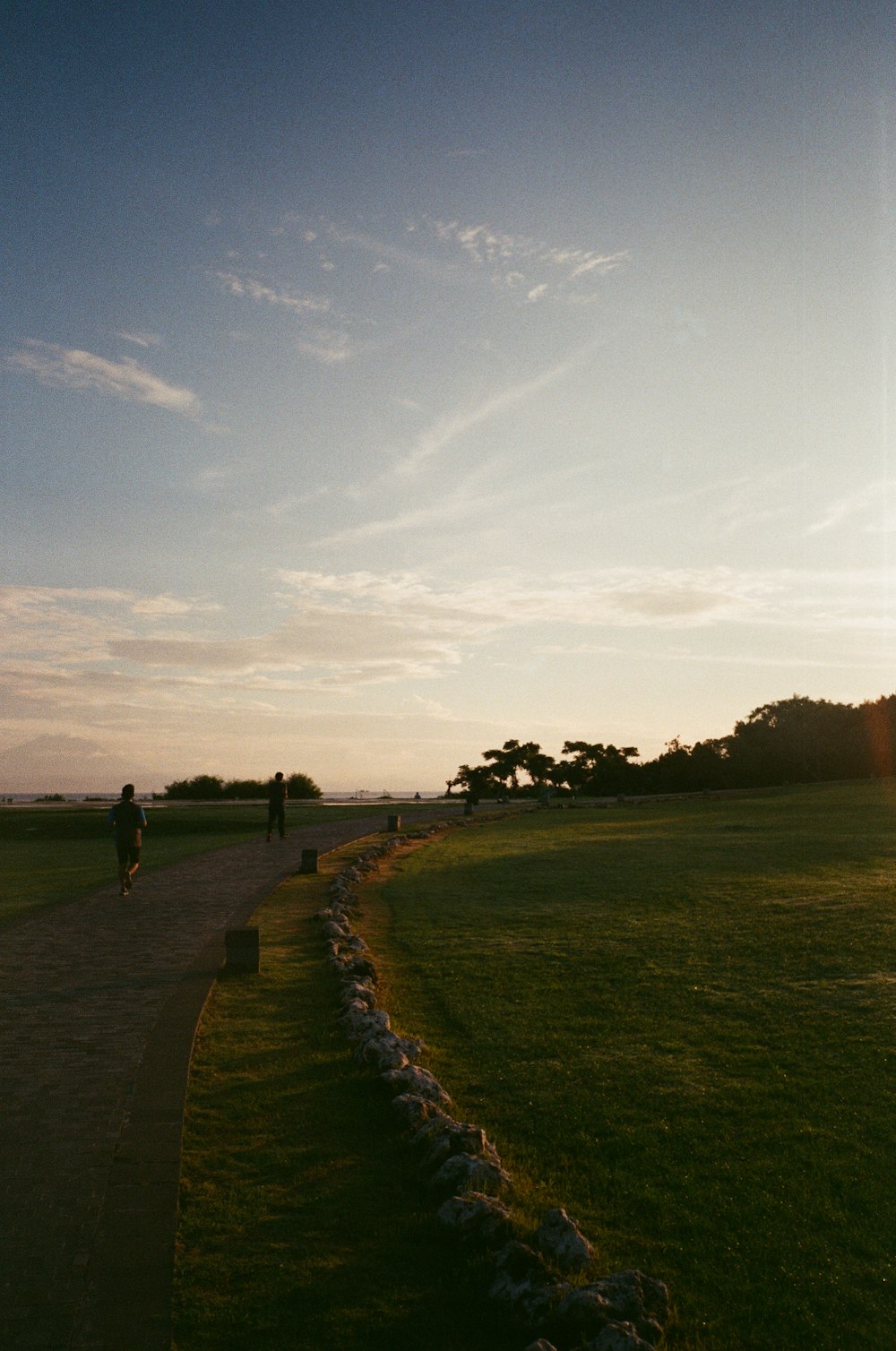 green grass field under blue sky during daytime