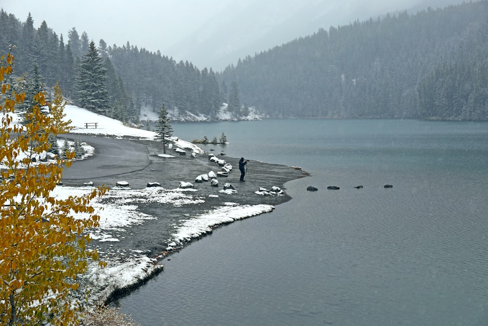 body of water near trees during daytime