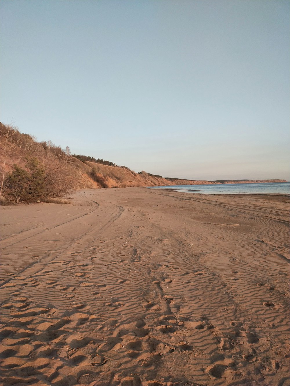 brown sand near body of water during daytime