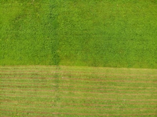 Aerial view of lush green farmland with clear boundary markings.