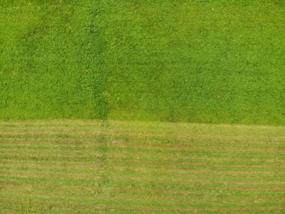 Aerial view of a lush green plot near Lulu Mall, Lucknow with clear boundary markings.