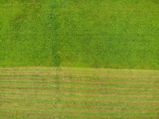 Aerial view of a lush green plot near Lulu Mall, Lucknow with clear boundary markings.